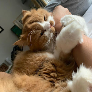 Meet your Posher, Alexis